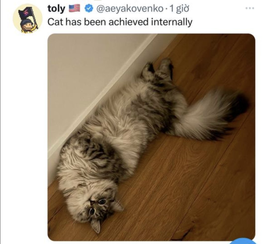 @KookCapitalLLC Gotta be #tolycat. The cat has been achieved internally. Good $sol cat memecoin. Community paid for CMC, cooking hard. Good kitty, sub 500k FDV. t.me/tolyscatsol 96rnTLypVAsokszVWjK8NpixPDa1xWs7ScTECyPEJMcT