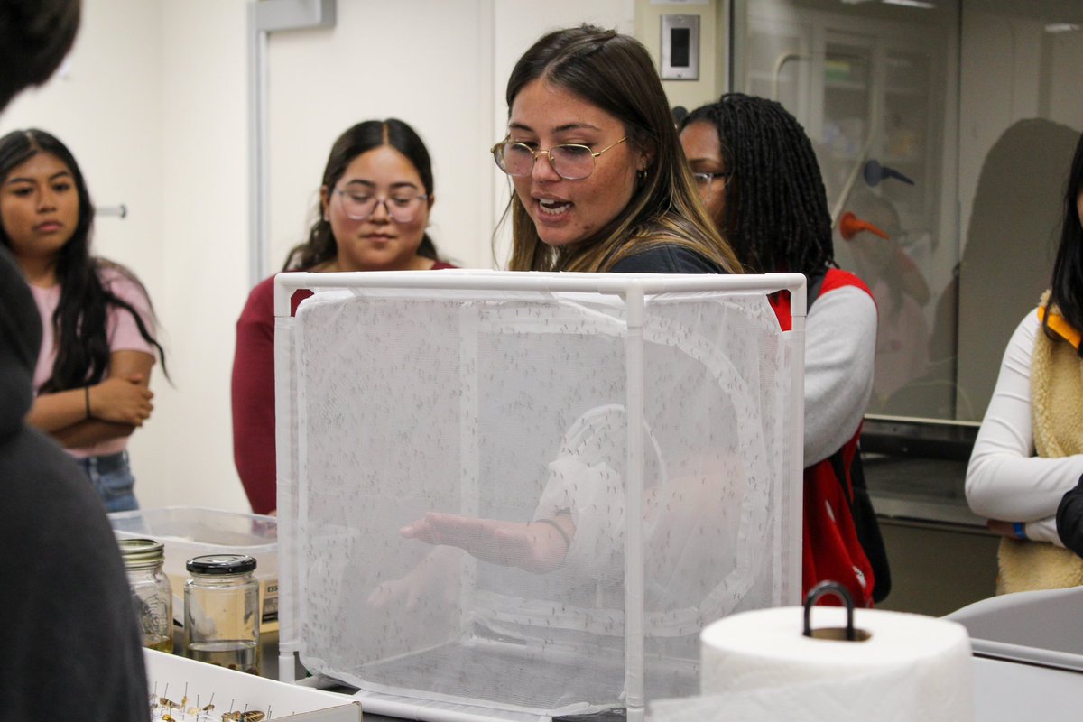 Upward Bound students got to tour the SPH PARAVEC (Parasitology & Vector) lab recently! Aspiring STEAM high school students learned about the various studies currently being conducted in the lab, meet some of the lab’s bugs, and hear more about SPH programs. 📚🦟