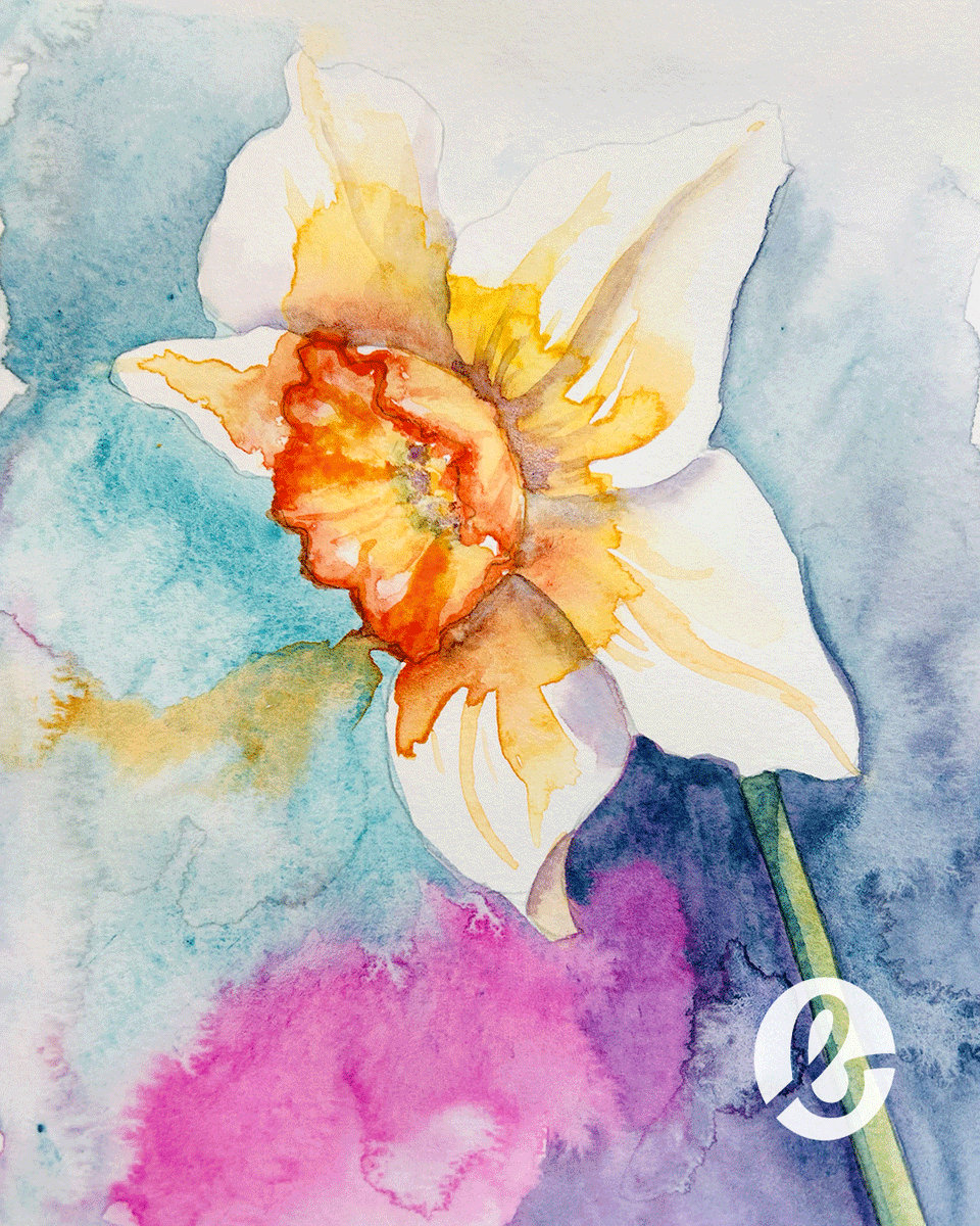 Embrace spring in your studio with Joe Parsons' watercolour daffodil tutorial! ☀️ Let go and embrace watercolour's spontaneity. Try it now! 👇

artsupplies.co.uk/daffodiltutori…

#watercolourtutorial #paintingtutorial #arttutorial #springishere #bromleysart #bromleysartsupplies