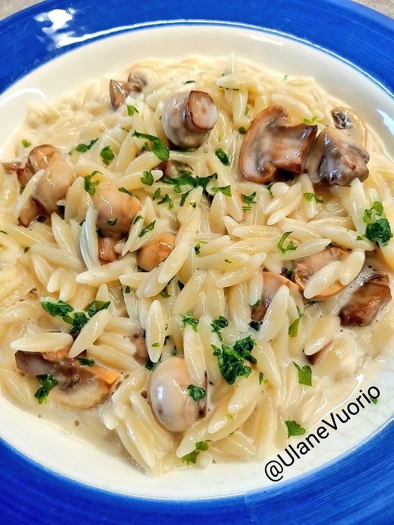 Cooking today: Orzo Pasta with Creamy Button Mushroom Sauce Few ingredients(pasta, mushrooms,cream,parsley) under 30 min cooking, easy & tasty😋