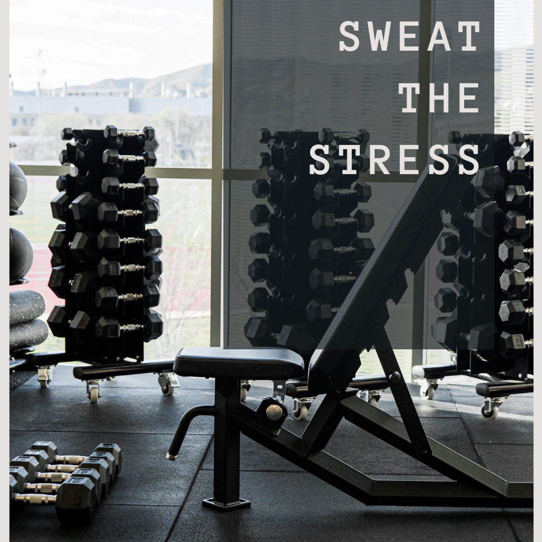 As finals approach, help your stress levels by sweating out the stress with free fitness classes. Learn more ow.ly/gery50RepJW