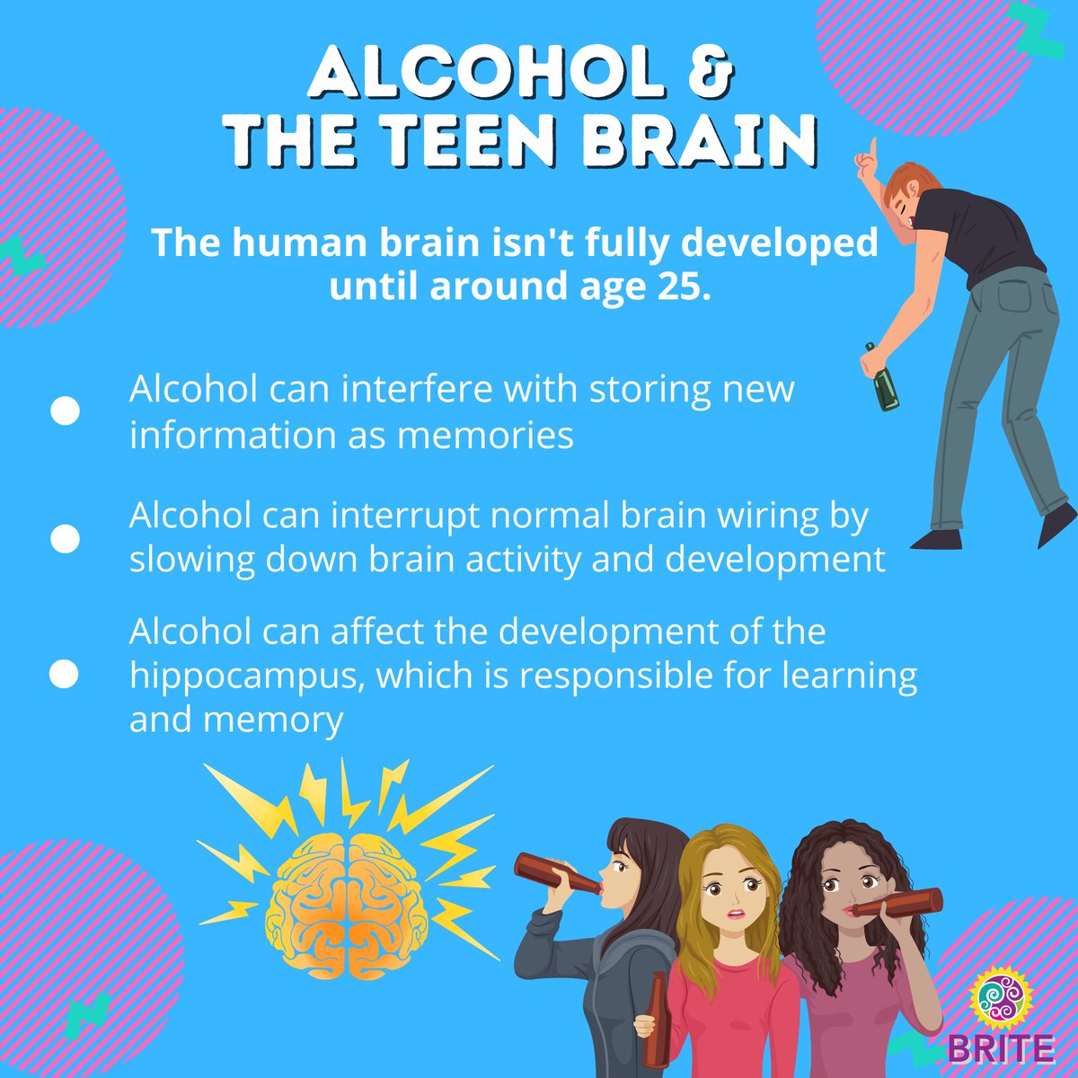 Because the human brain isn't fully developed until around age 25, teen drinking can interfere with normal brain development and affect areas like the hippocampus, which is responsible for learning and memory.