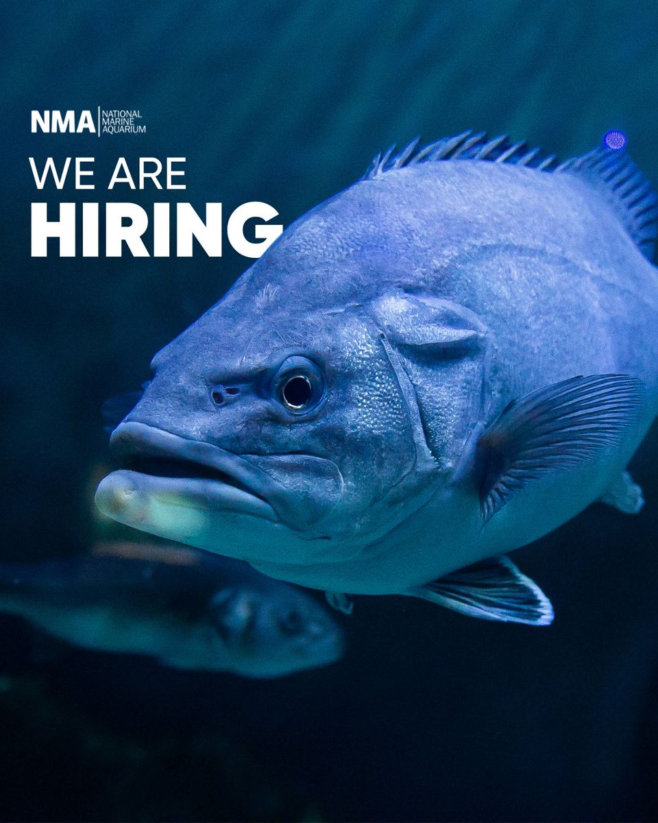 Join the Team! 🐠 We're searching for a Housekeeping Assistant to join our Housekeeping department here at the National Marine Aquarium! Find out more & apply 👇 bit.ly/NMA-jobs