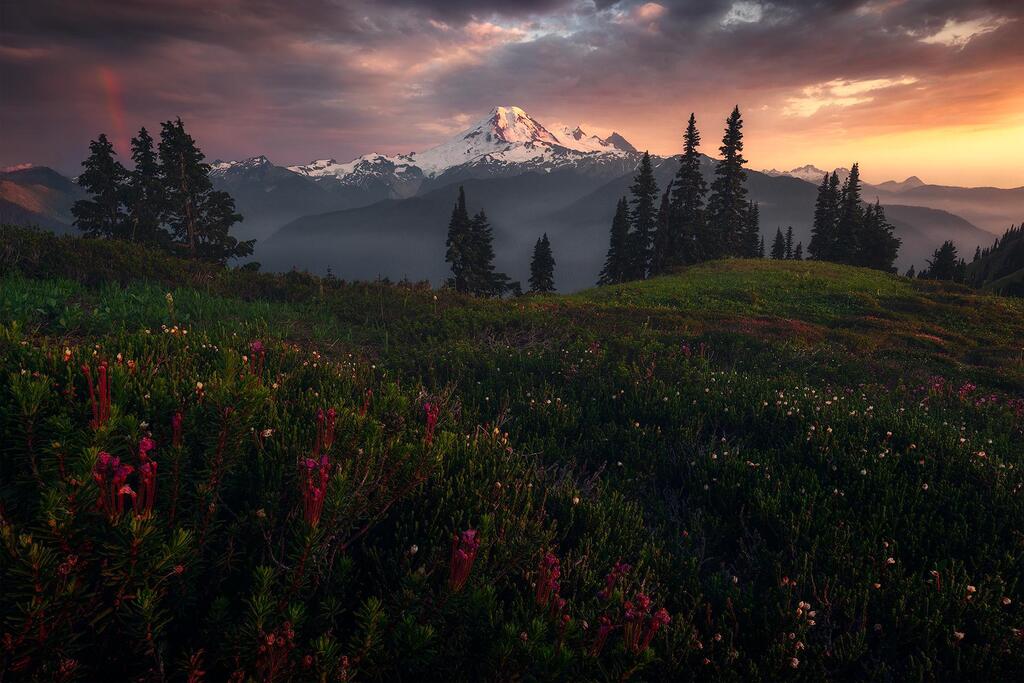 Enjoy #OurEarthPorn! (Steal This Hashtag for your own and join the community of Nature Addicts! ) Mount Kulshan [OC] [1800x1200] IG: @yuriygarnaev Photo Credit: silent_winter .