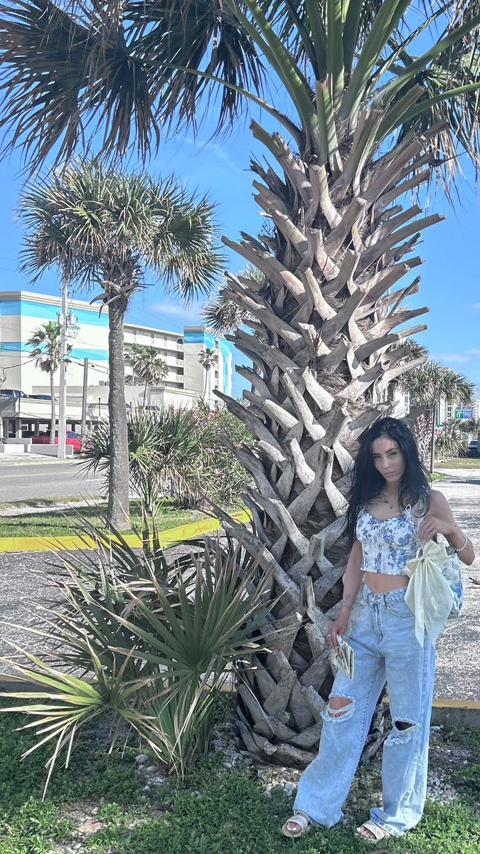 clov33r's tweet photo. pt2🌤️🌴🦩 https://t.co/dg2JYfcsMR