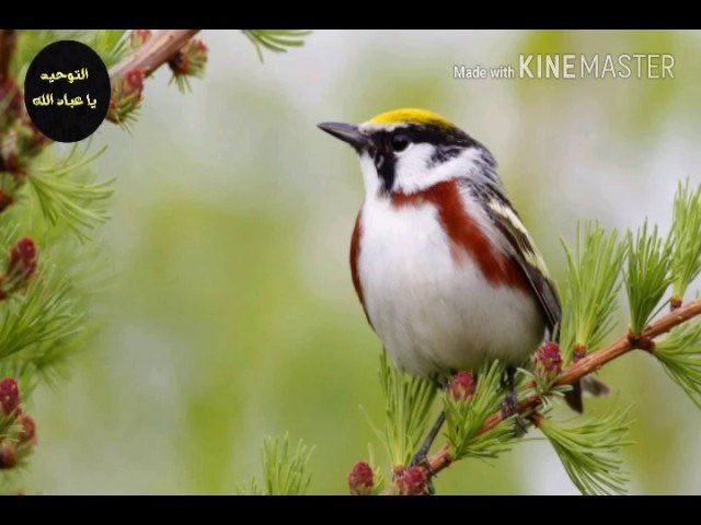 ALAagri07's tweet photo. https://t.co/FOwLfLNUaH
