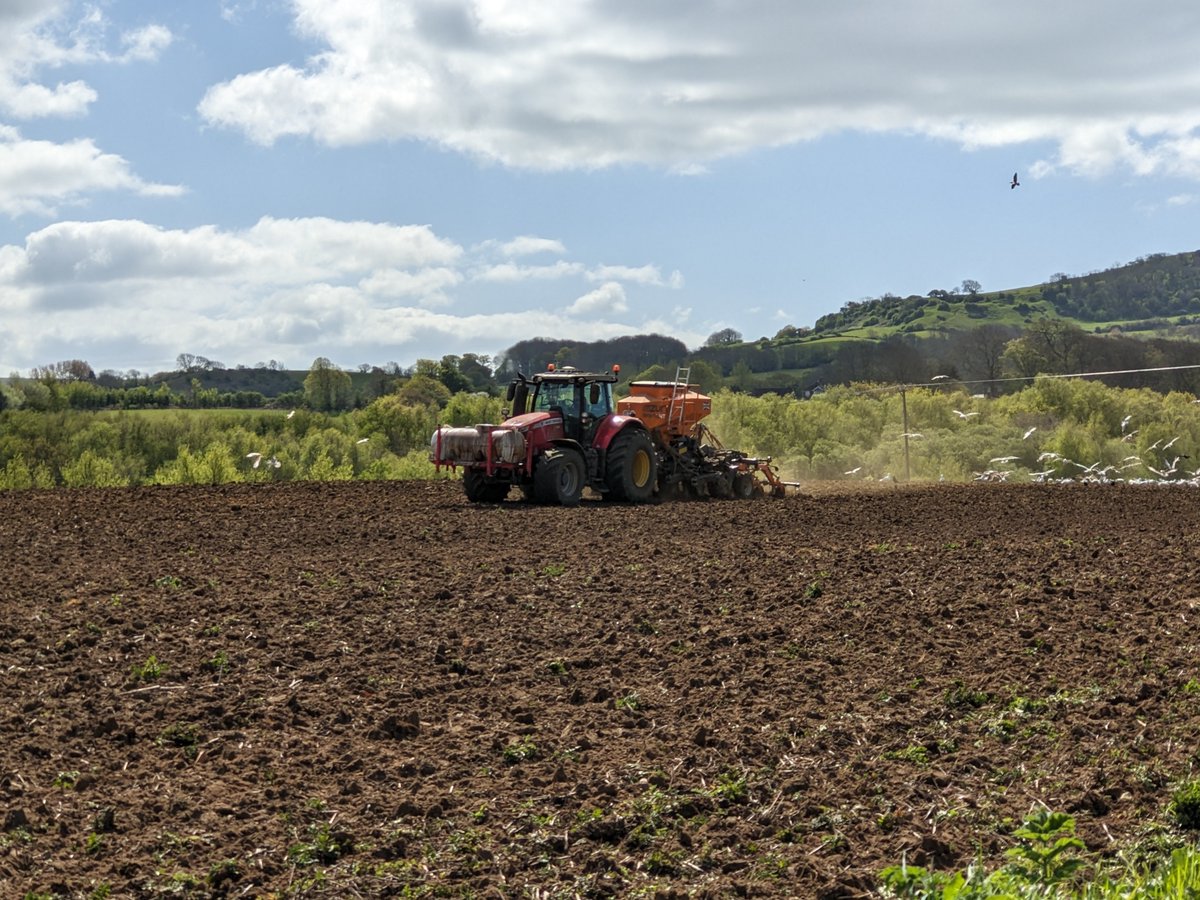 Ploughing the fields at Godshill, ready for this year's crops 🚜🌽🫘🌾🥔

#godshill #isleofwight #isleofwightphotography #countryside #tractor #farmland #fields #localproduce #nature #ukwalking #ukrunning #runningpics #walkingholiday #footpaths #ukbreaks