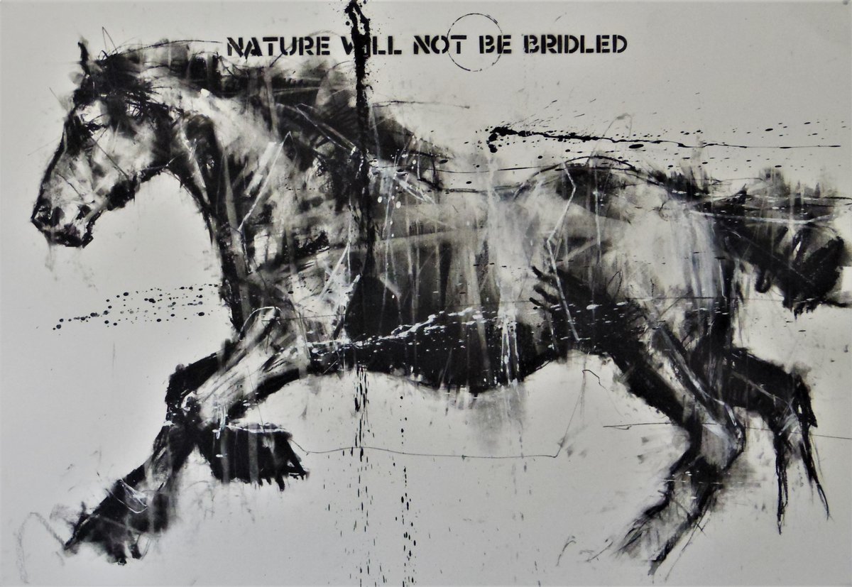 mixed media drawing... 'nature will not be bridled'