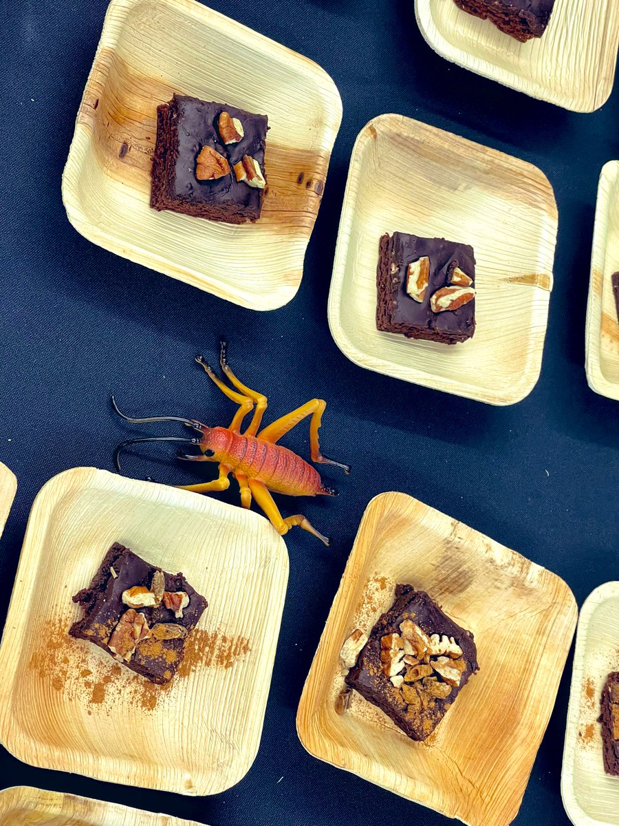 @AustinEdFund @AustinISD @AISDBowie @Matias_AISD @ToronWooldridge @AngelWilson36 Did someone say crickets? Culinary students @Clifton_CDS delighted us with samples of Chocolate Cinnamon Cricket Cake at “Food of the Future”. This semester, students worked w/food producers and chefs to create innovative dishes using unique sustainable ingredients like crickets!