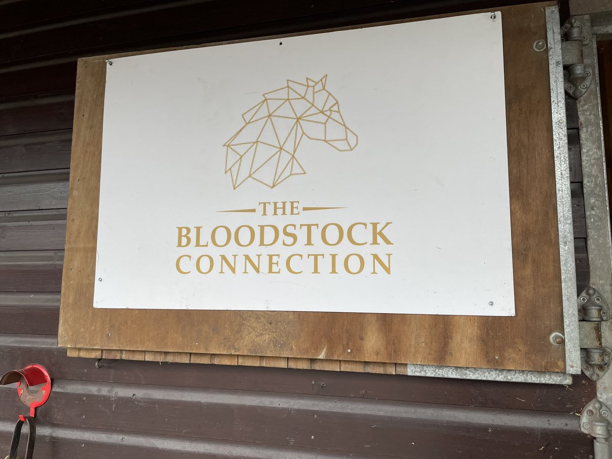 Fantastic Breeze today by our Invincible Spirit filly (Floss) and Dandy Man Colt (Red) @GoffsUK Huge thank you to all the team @TheBloodstockC and @GetInTheGame_ie for getting them both ready for today! Fingers crossed for tomorrow! Good luck everyone! 🍀 🐎