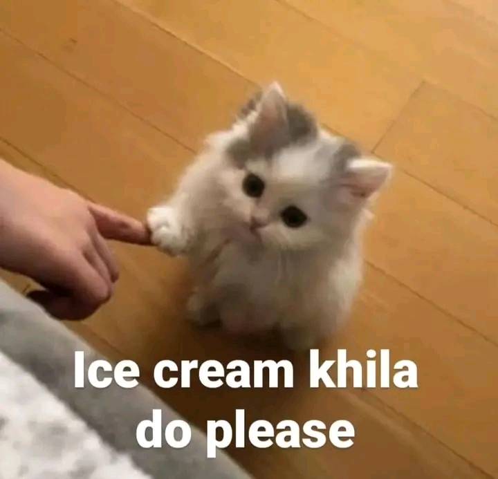 Bht garmi ha yr koi toh khila do🥺🥺