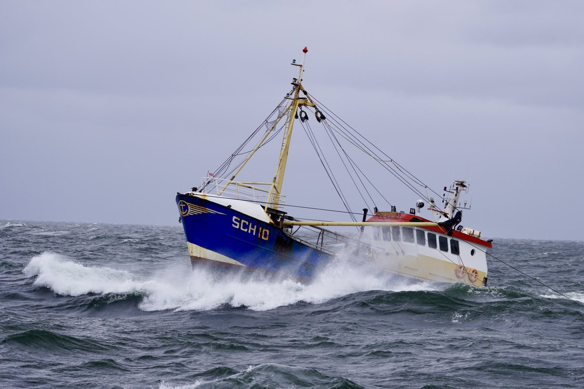 #Noordzee #kust #visserij #beleving 
En weer een stevige bries van middag 🌬️💨💨🌬️