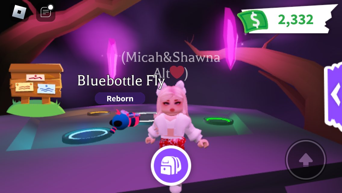 ✨Trading a neon bluebottle fly✨
No pot 
Make an offer! Mostly looking for silk bags <3 
#adoptmetrade #adoptmetrades #adoptmetrading #adoptmetrader #adoptmepets #adoptmepet #adoptmeoffers #adoptmeoffer