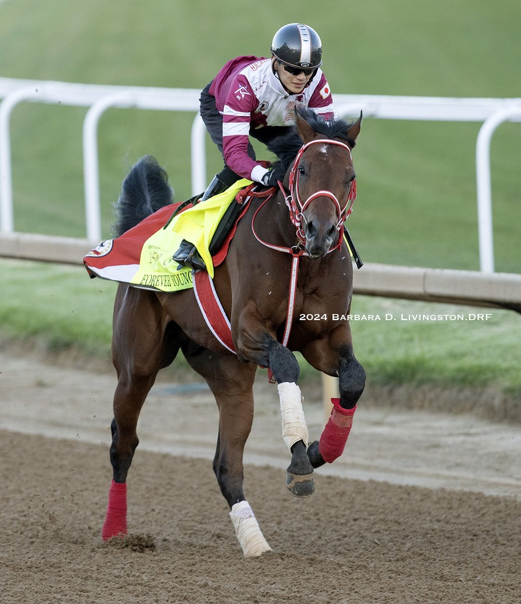 DRFLivingston tweet picture