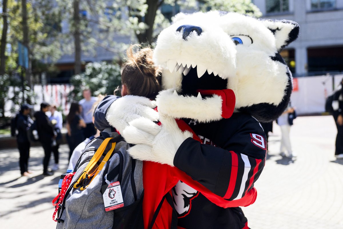 Northeastern tweet picture