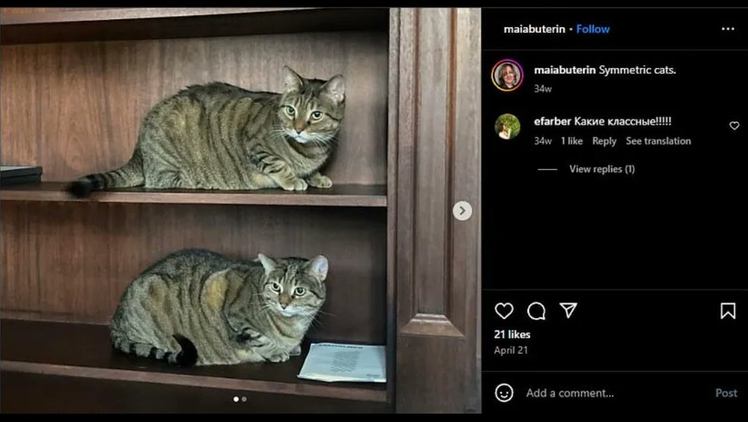 tigraeth's tweet photo. $TIGRA 🟠😺

- Twin of $HEMULE
- Resident of the Buterin Household
- Vitalik owns 3% of the Supply ( Vitalik.ETH )

- Contract Renounced 
- Liquidity Burnt 
- Tax 0/0

This is just the beginning!

WAGMI 🚀

#cryptocurrency #memecoin #Altseason2024 #CATSZN https://t.co/O3Zd9ZHd09
