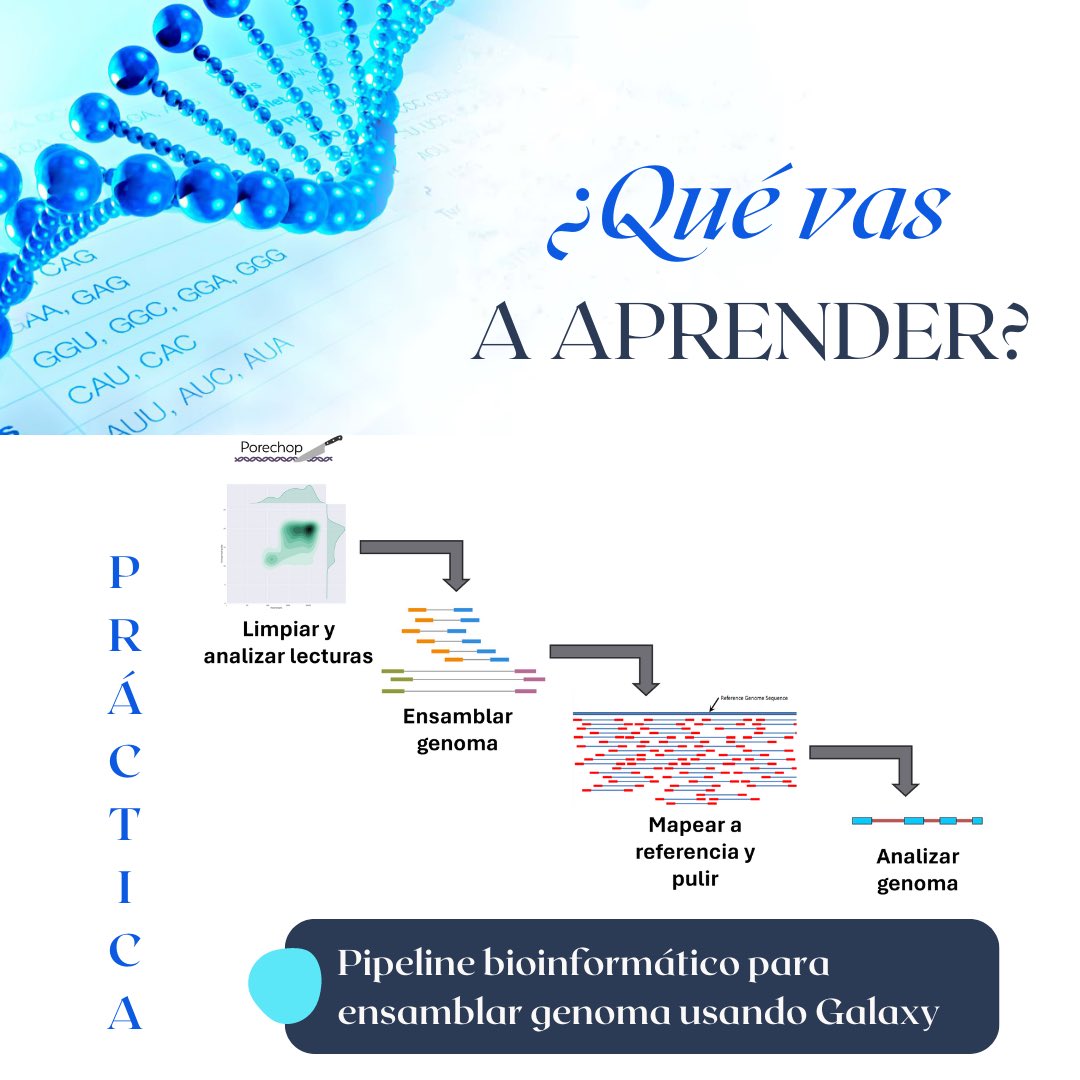 ¿Quieres saber qué vas a aprender en esta capacitación? ¡Desliza para enterarte!

Aún quedan cupos, para más información visita la página web: t.ly/W2Cha