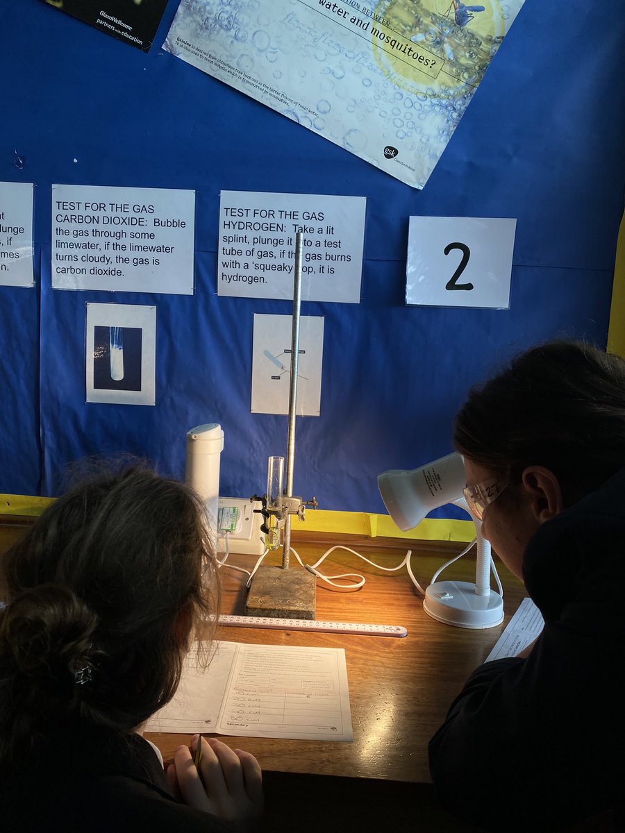 KJAR SCIENCE (@sciencekjar) on Twitter photo Year 9 students have been exploring the wonders of pond weed to make sugars using photosynthesis 🌿 Year 9 students have been exploring the wonders of pond weed to make sugars using photosynthesis 🌿