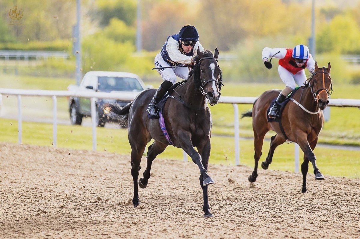 🅦🅘🅝🅝🅔🅡 - Beveragino gets off the mark at @WolvesRaces for the @MikeBellRacing team under a cool ride from Kevin Stott. A huge congratulations to her owners! Time for a beveragino🥂 #OpulenceThoroughbreds