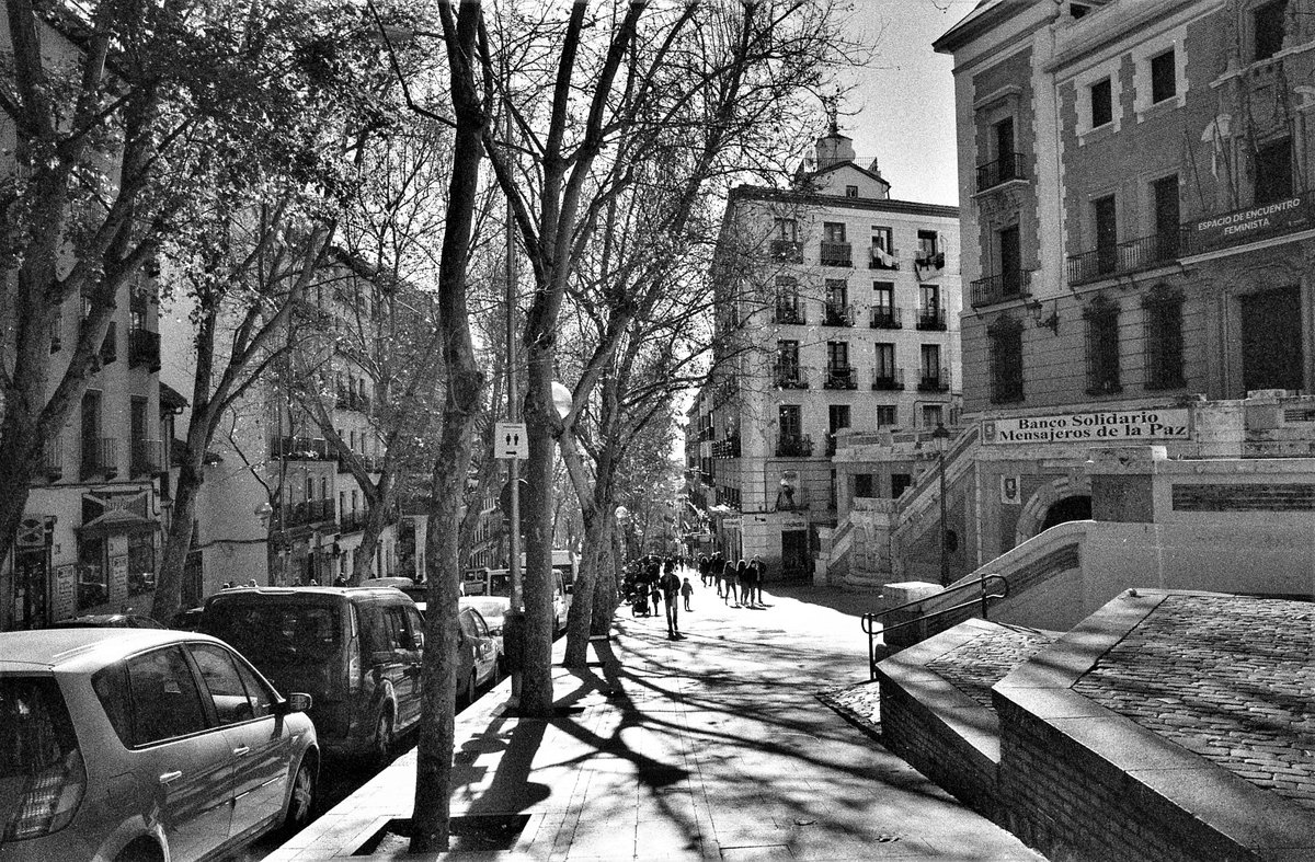 #madrid 
#wintersun
#closetofleamarket
#pleasureoftravel
#cardano 
#ntf 
#ada
#silversaltsnegatives  
#photocanisters
#byme