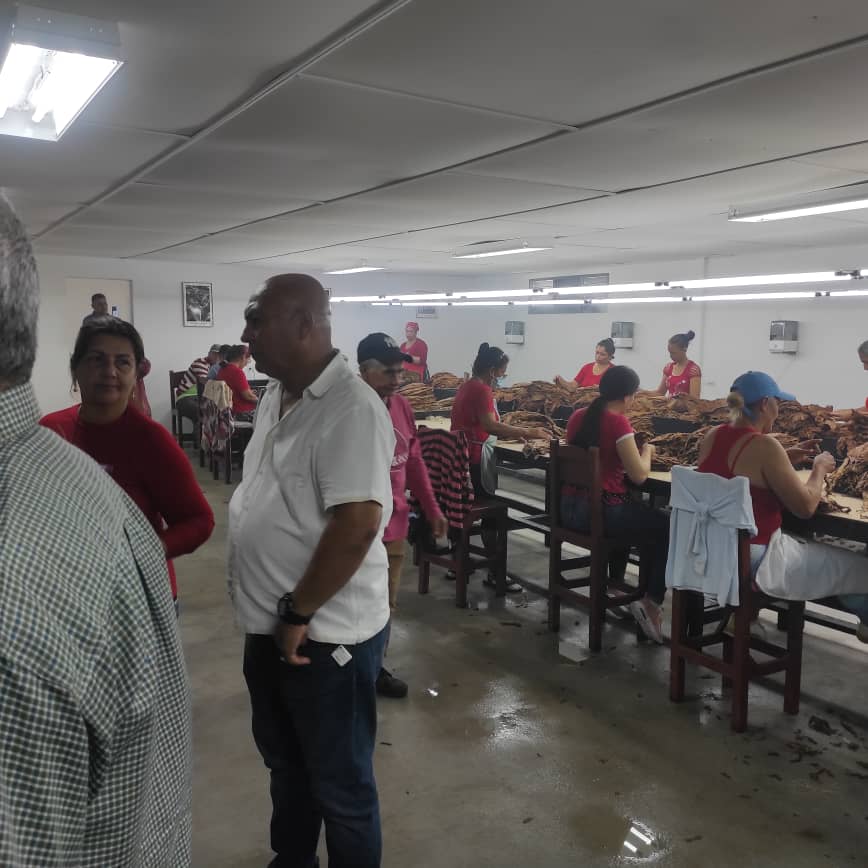 Emp_ABTSS's tweet photo. En el día de hoy se inaugura la Escogida de Tabaco del productor Anieski de la Cruz.
#SanctiSpíritisEnMarcha
#ABTSS https://t.co/SBgugvpKrJ