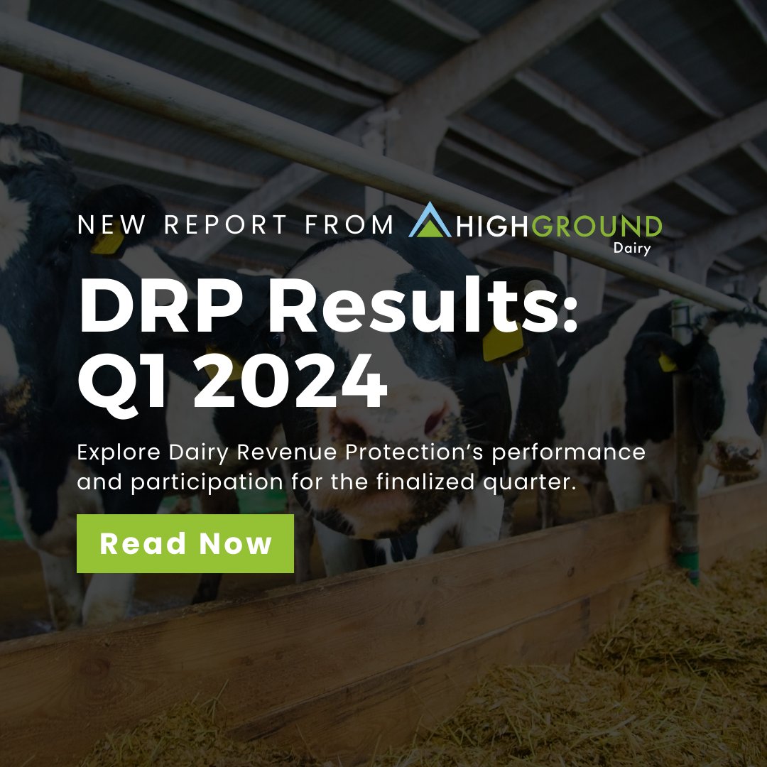 NEW from HighGround Dairy: Q1 2024 DRP Results! 🐄

📈 Quarterly Coverage Summary & Specs
🔍 Performance by Horizon
⏳ Participation and Performance Over Time

🔗 Download the report now: hubs.ly/Q02tQBK-0

#HighGroundDairy #Dairy #DairyFarmer #MarketInsights #DRP