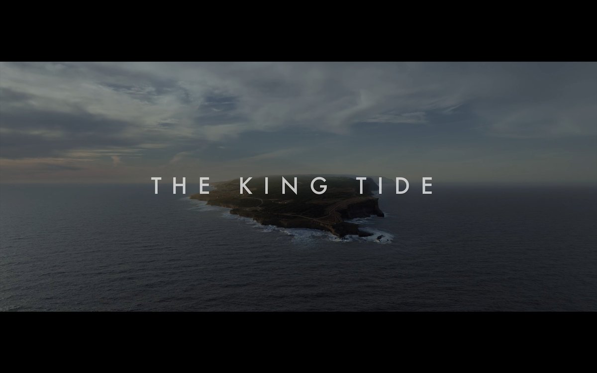 Missed the release of THE KING TIDE trailer last month. A very good film I described as 'THE VILLAGE by way of Jeff Nichols' at #TIFF23. Happy to be quoted.

Trailer: youtube.com/watch?v=mU4UPn…
My review: thefilmstage.com/tiff-review-th…