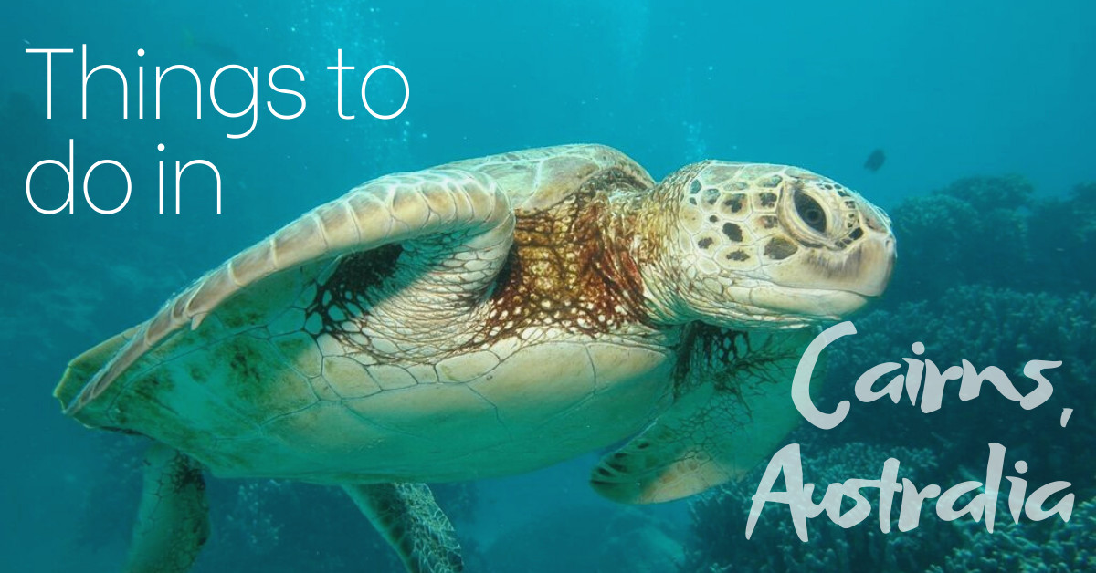 First time to Cairns and needing some advice? This guide is for you and you won't be disappointed! goingawesomeplaces.com/6-of-the-top-t… #GreatBarrierReef #adventurecairns #cairnsaustralia #cairnstourism #seeaustralia #comeandsaygday @Australia
