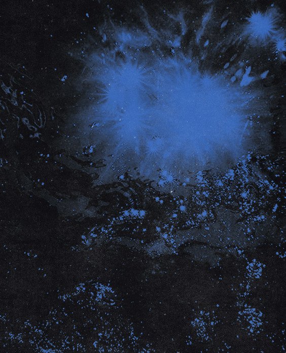 angelicbled's tweet image. 