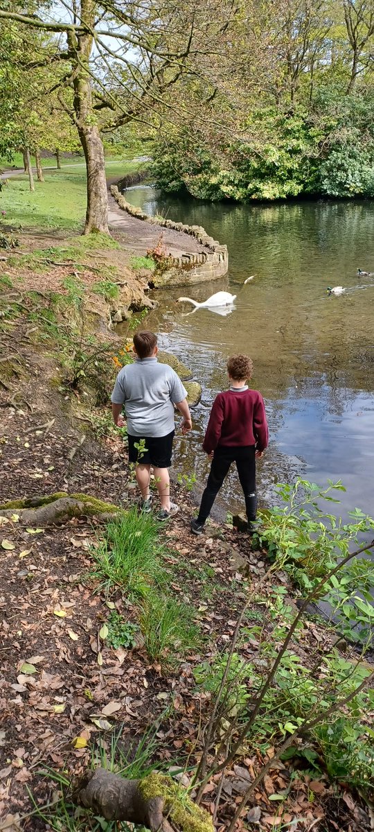 Today we enjoyed bug hunting in the forest. We also saw some swans and ducks by the lake. #forestschool #OutdoorAdventures
