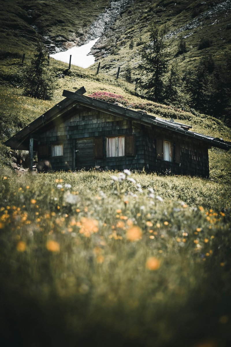 nextbrew's tweet image. As much as I want to read the original, so grateful someone unpacked it into more digestible bites.  There is a Whole Family of European #Farmhouse #Yeasts | Larsblog 
buff.ly/3WdZAtO 
&amp;amp; a nod to Boak &amp;amp; Bailey blog buff.ly/3Qf4vH2 

#Yeast #Beer #History