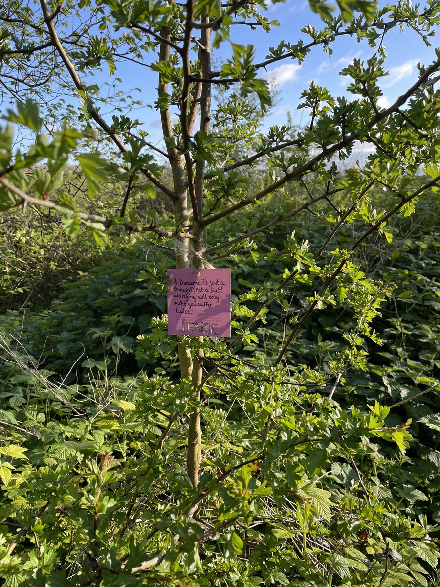 MacSparkes's tweet photo. A nice little note on my walk 🤗 https://t.co/QgQOTFhcUN