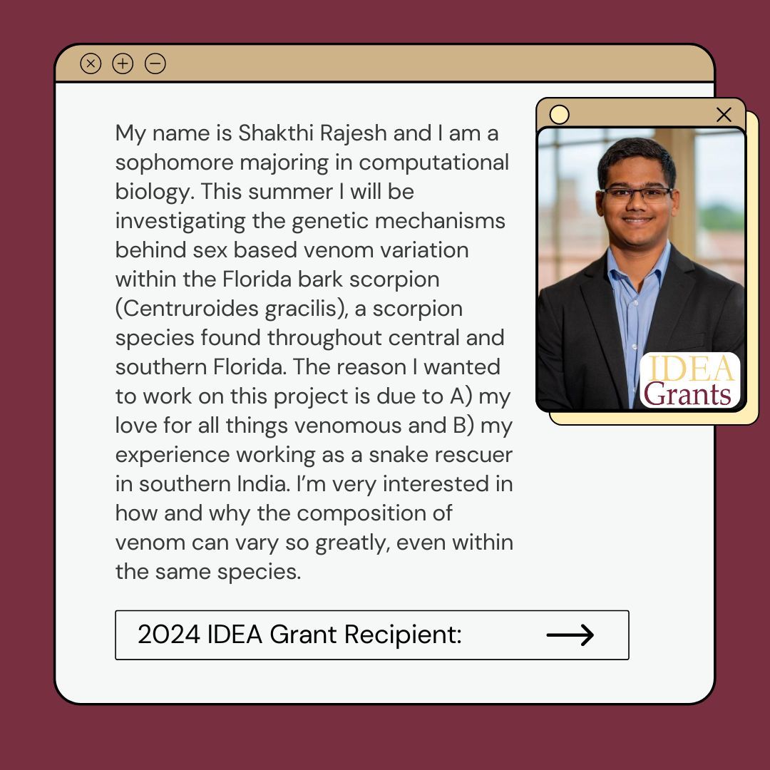 FSU_CRE's tweet image. We would like to highlight 2024 IDEA Grant recipient, Shakthi Rajesh! Shakthi is a Computational Biology major. He will be investigating the genetic mechanisms behind sex based venom variation within the Florida bark scorpion.

Read more: buff.ly/3Uwf9vi. 

#IDEAGrant