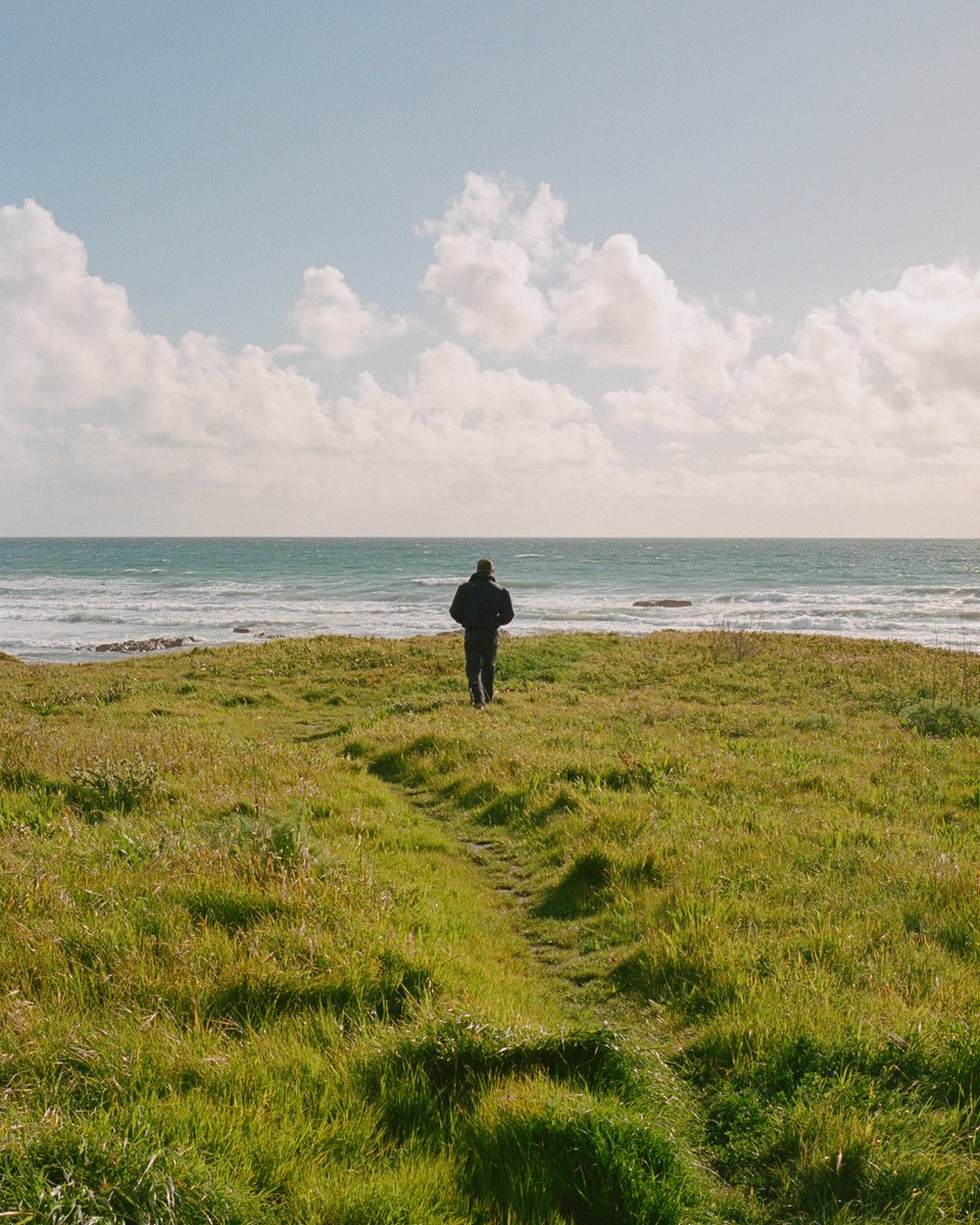 Spring on the West Coast Shot on 35mm film