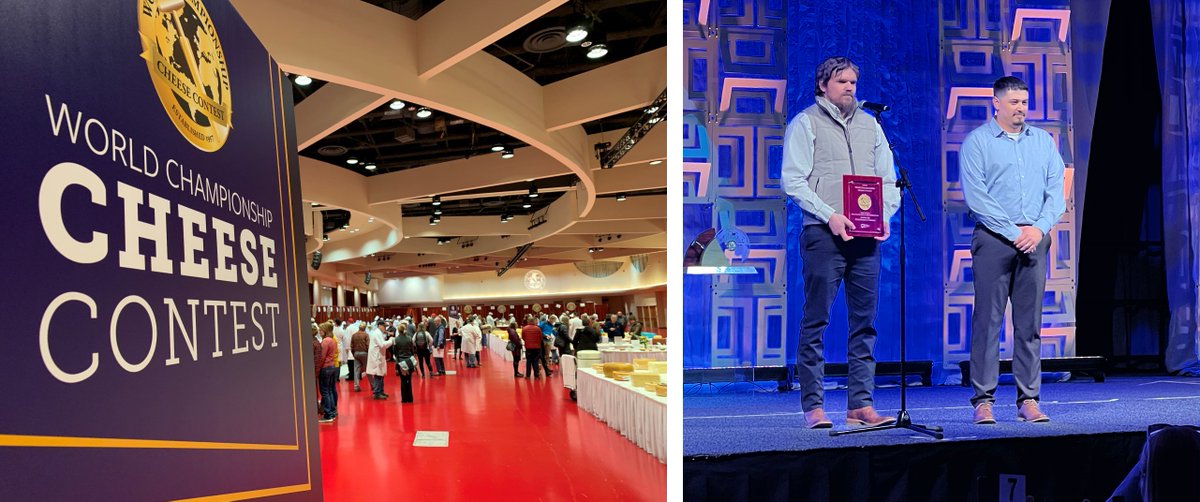 #ICYMI: Our Ingredient Solutions teams from Madison, Wis., Garden City, Kan. & Portales, N.M. excelled at the 2024 World Championship @cheesecontest! They took home honors for outstanding milk powder & milk protein concentrates! Learn more >> bit.ly/3Ut6fyW. 📸: @nmpf