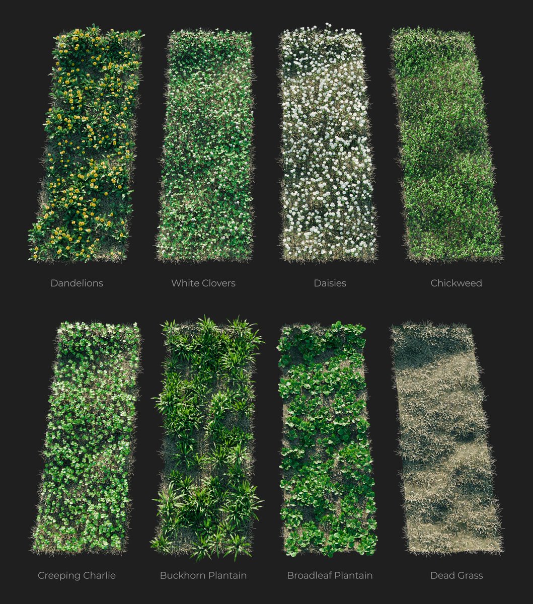 Next-gen Weeds are coming as well...
#b3d #geometrynodes