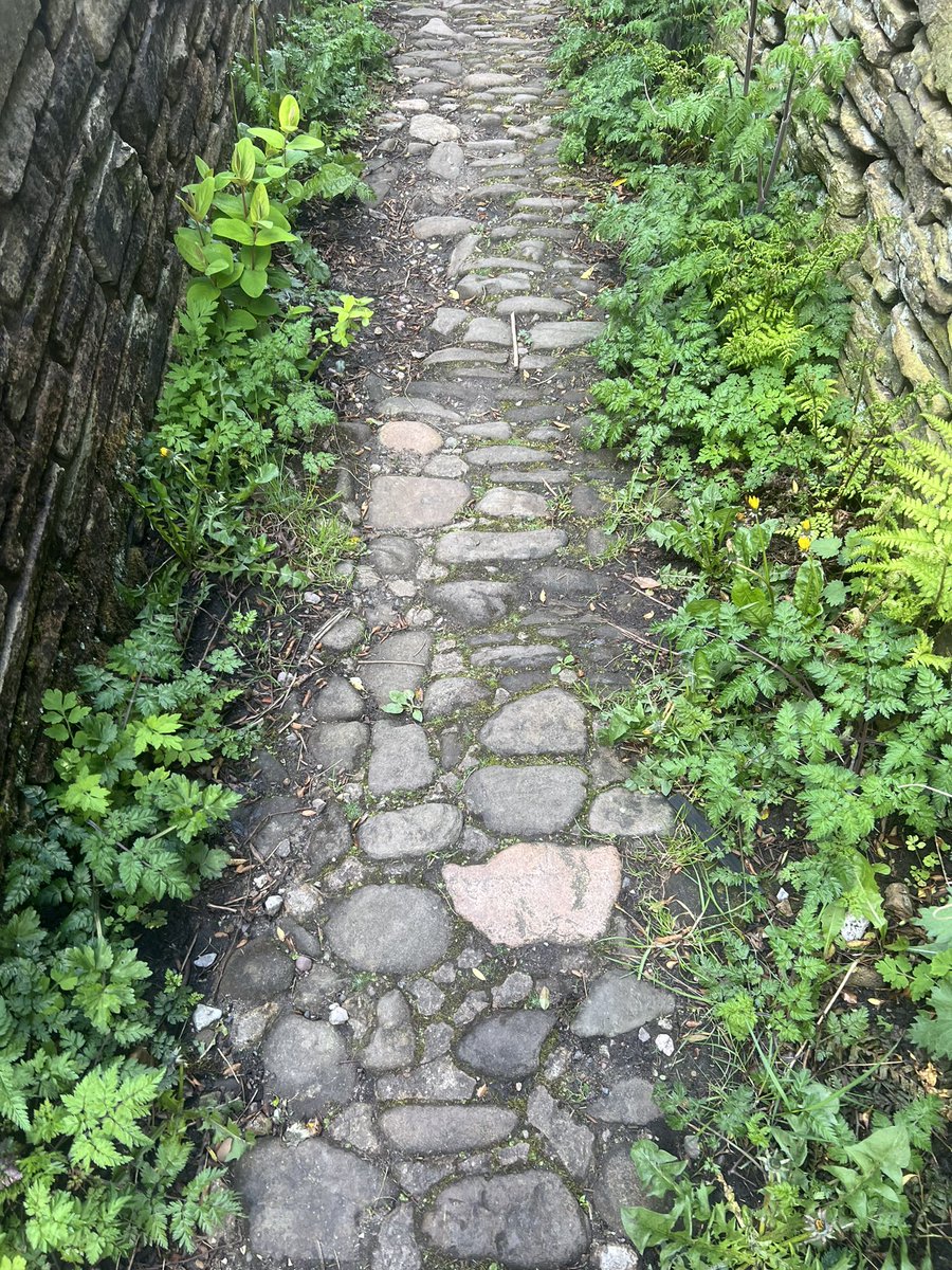 The only cobbled path in Glossop …… #paving #expertwitness #landscaping #landscapingexpert