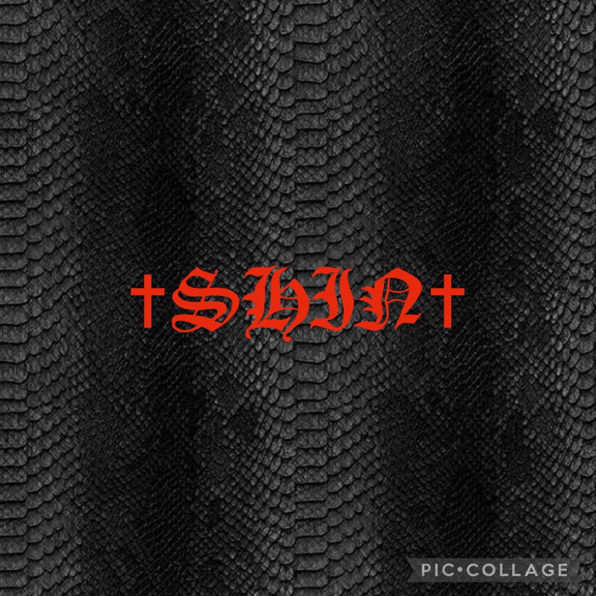 #TODAY24TH

#GoodMorning

#SPRINGSEASON

#SHIN
#LOGO
#CROSS
#OLDENGLISH
#BLACK #PYTHON

#666_angels #TwitterX