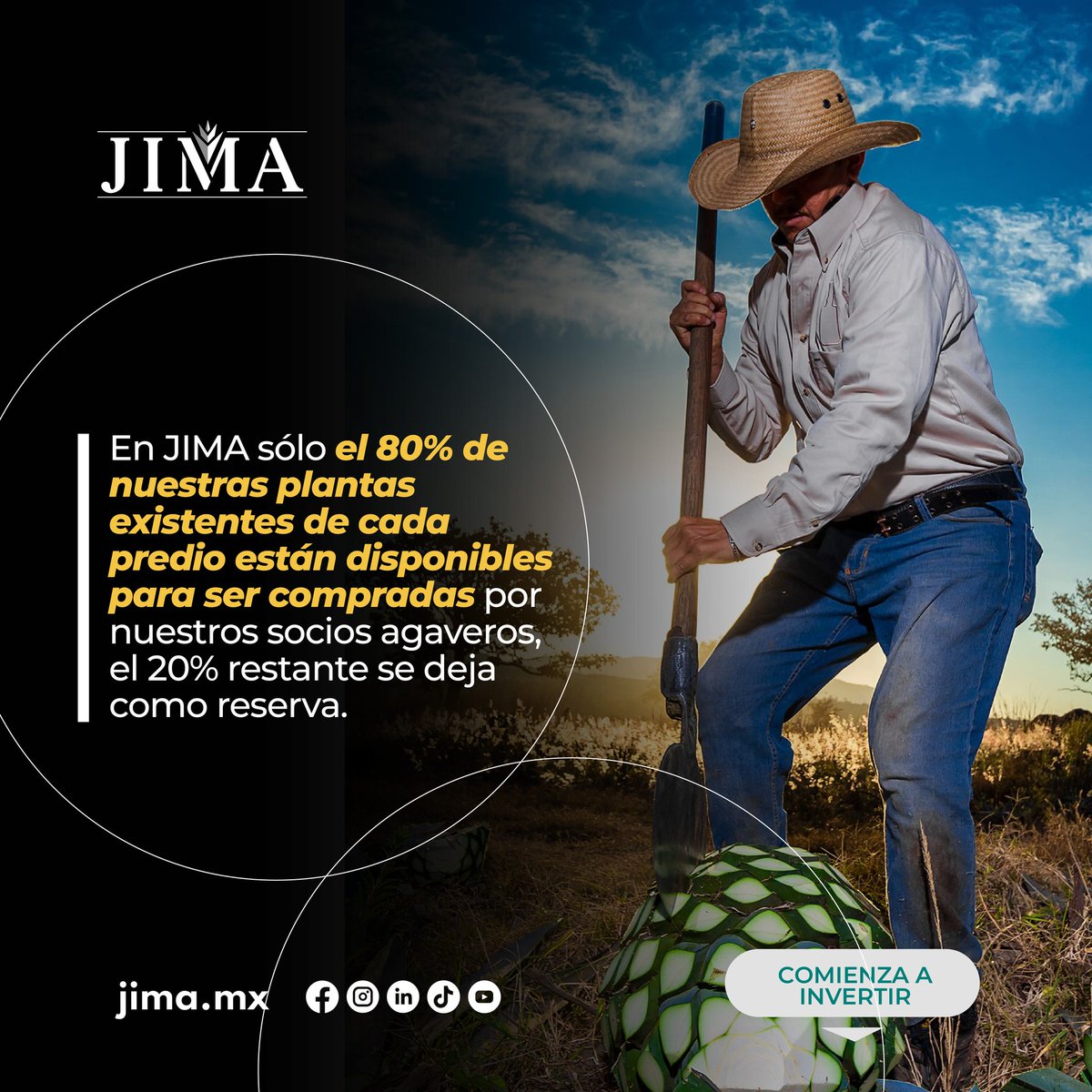 jimamx's tweet photo. 🌿En JIMA cuidamos el futuro de tu dinero y preveemos posibles daños.
Vendemos sólo el 80% de nuestras plantas existentes en cada predio, dejando el 20% restante como reserva.
¡Comprometidos con cuidar tus finanzas! 🌱

 https://t.co/Z11HZJNnI9 https://t.co/CjSBeEbfWW