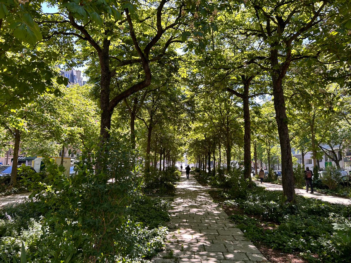 🌱[Avant/Après] suite : la nature continue à progresser Boulevard Pasteur ! Cet ancien terre-plein parking est désormais un lieu de nature et de fraîcheur pour les parisiennes et parisiens. @danlert @tchevandier @David_Belliard #ParisSeTransforme