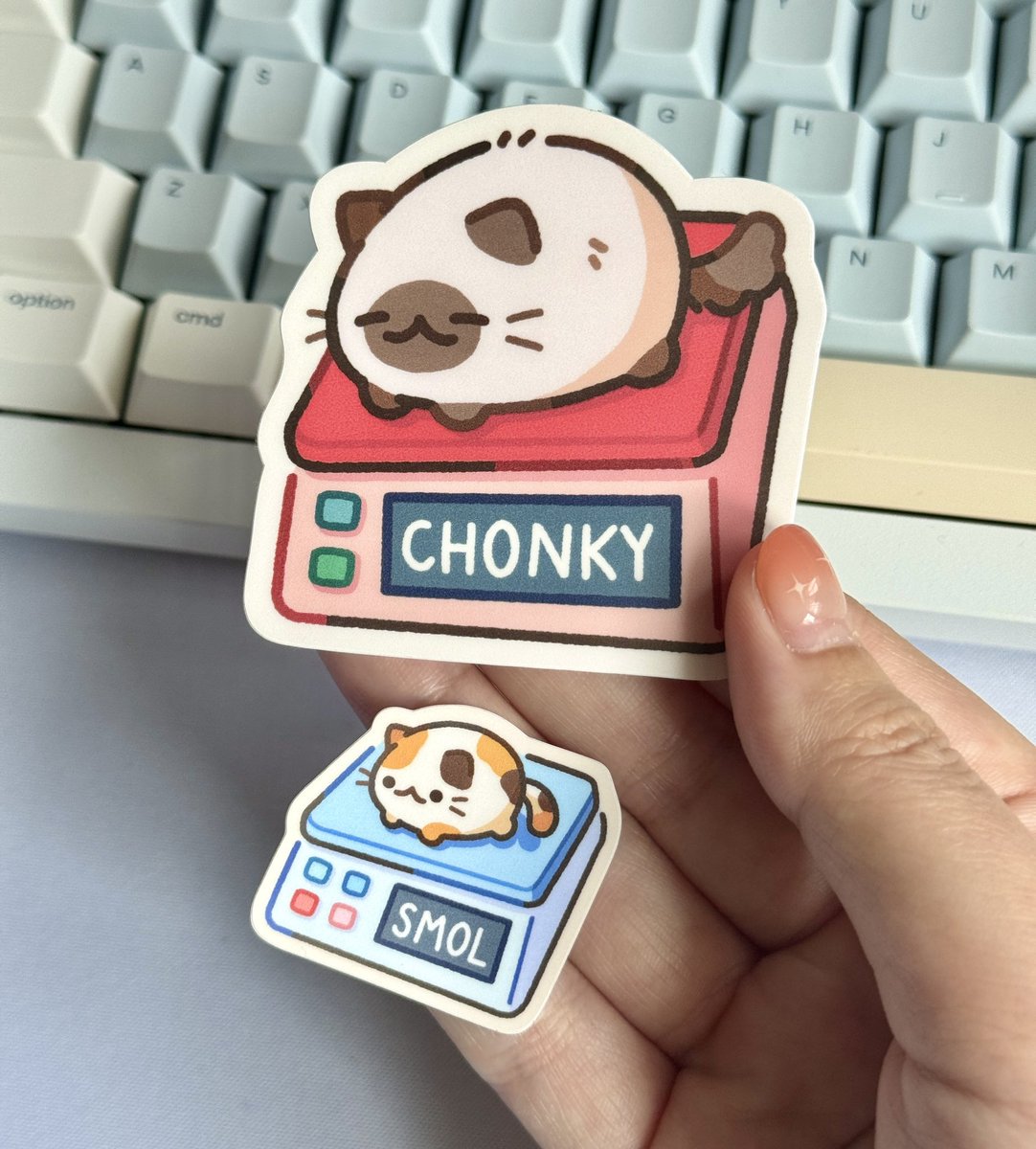 Someone wanted to see these two together😳 mini smol cat sticker and the regular chonky cat sticker !!!