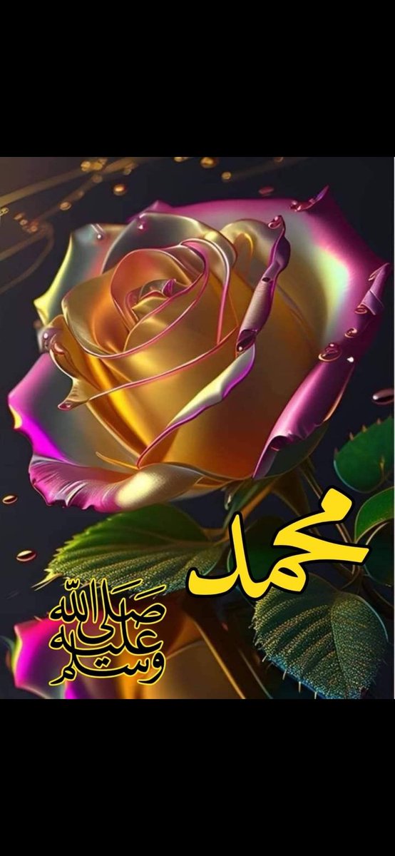 صلوا على جميل الوجه و بدر التمام شفيع الخلق في يوم الزحام 🌿🕊️🌿🕊️