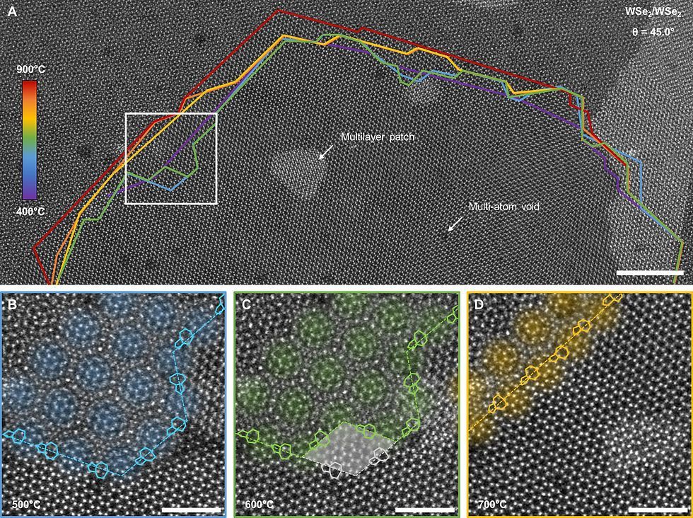 Atom-by-atom: Imaging structural transformations in 2D materials 
nanotechnologyworld.org/post/atom-by-a… 
#nanotechnology #materialsscience #graphene #electronics #microscopy #engineering