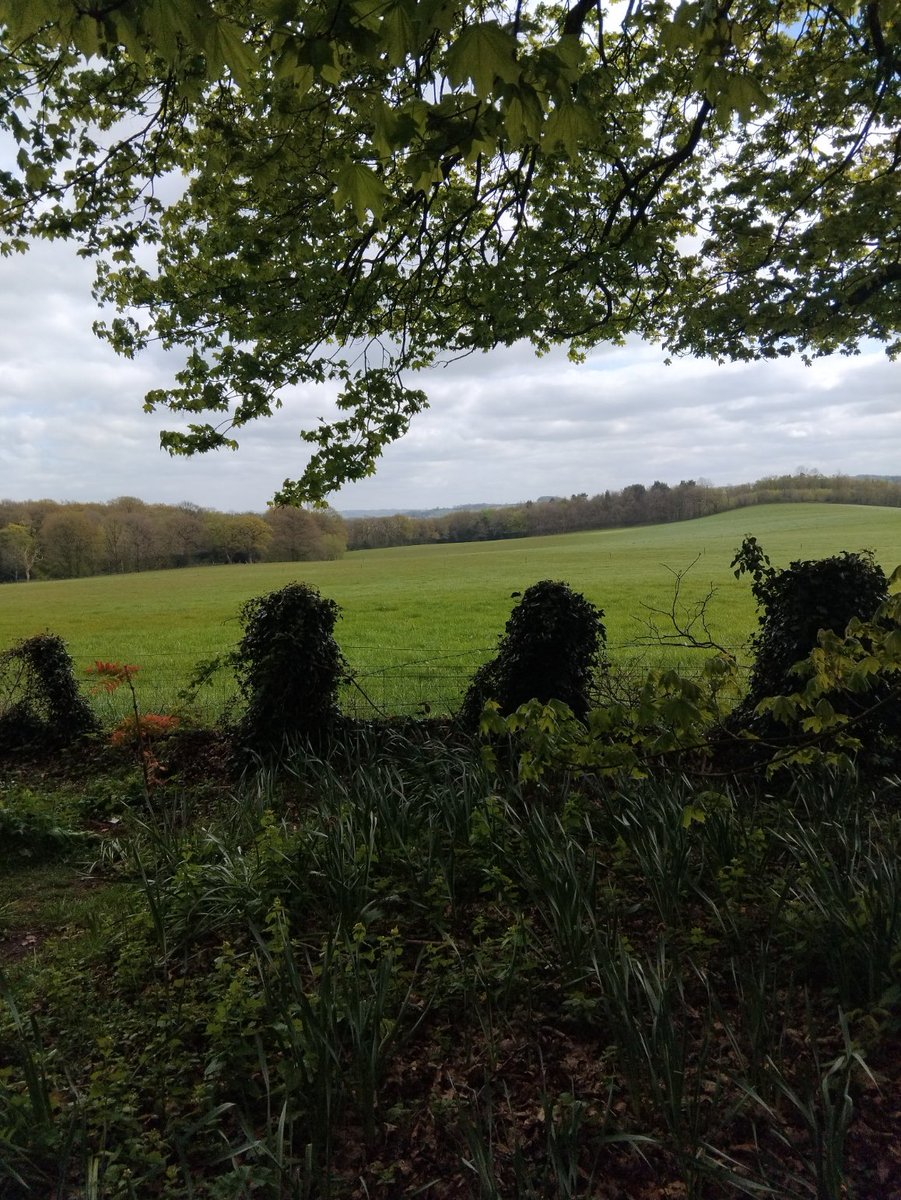 tcookot's tweet photo. How wonderful to to have the beautiful @KeeleUniversity campus for @KeeleAHP occupational therapy students to go Geocaching while learning about Activity Analysis today  #KeeleOT #OT #Activity #ActivityAnalysis @teresa_rushton @Sarah_Shaw_OT @OutdoorOt @GoGeocaching https://t.co/sAweZjTaBF