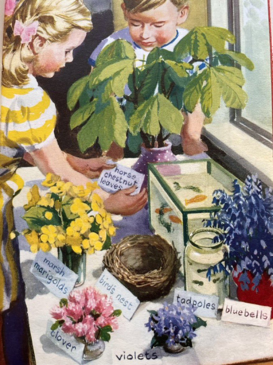 The Nature Table Artist: Harry Wingfield (Going to School, 1959)