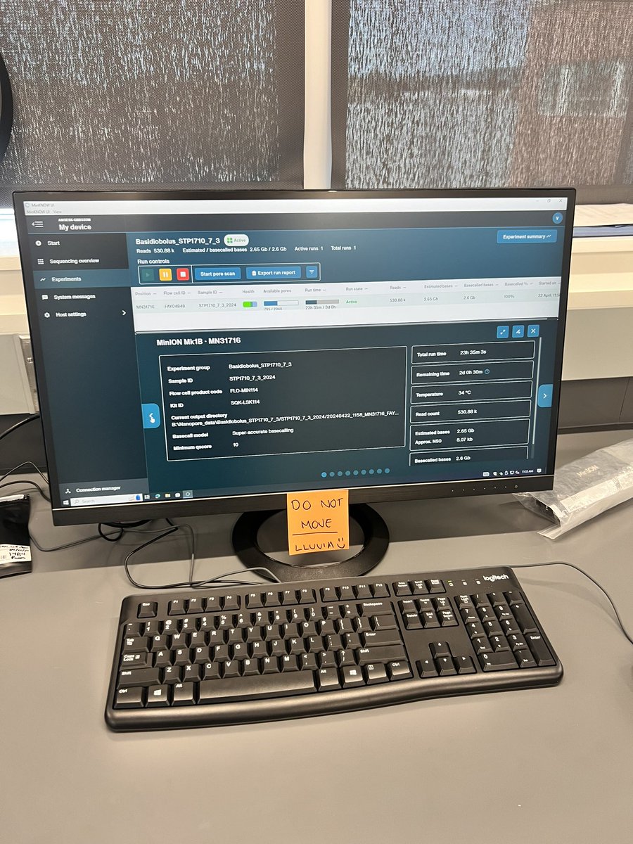Nanopore runs in real time by @FungalRain 😎 do not disturb