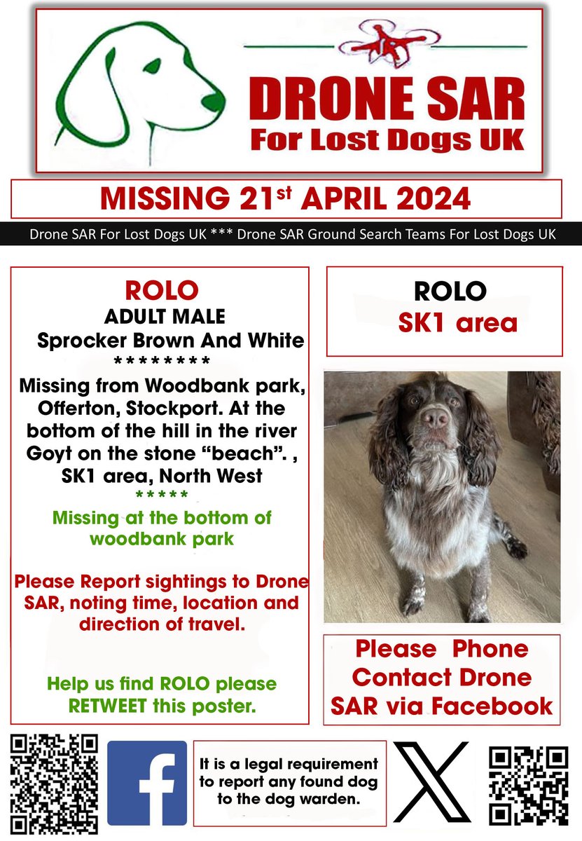 #LostDog #Alert  ROLO
Male Sprocker Brown And White (Age: Adult)
Missing from Woodbank park, Offerton, Stockport. At the bottom of the hill in the river Goyt on the stone “beach”. , SK1 area, North West on Sunday, 21st April 2024 #DroneSAR #MissingDog