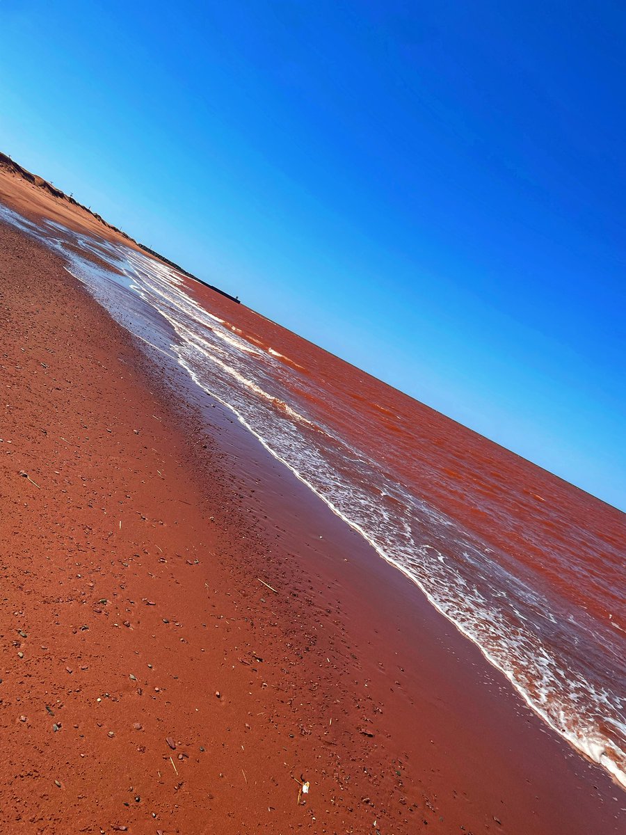 Chefstevewilson's tweet image. It’s definitely not beach weather yet but it was perfect beach walk weather… nobody as far as the eye could see!!! #alonetime #antisocial