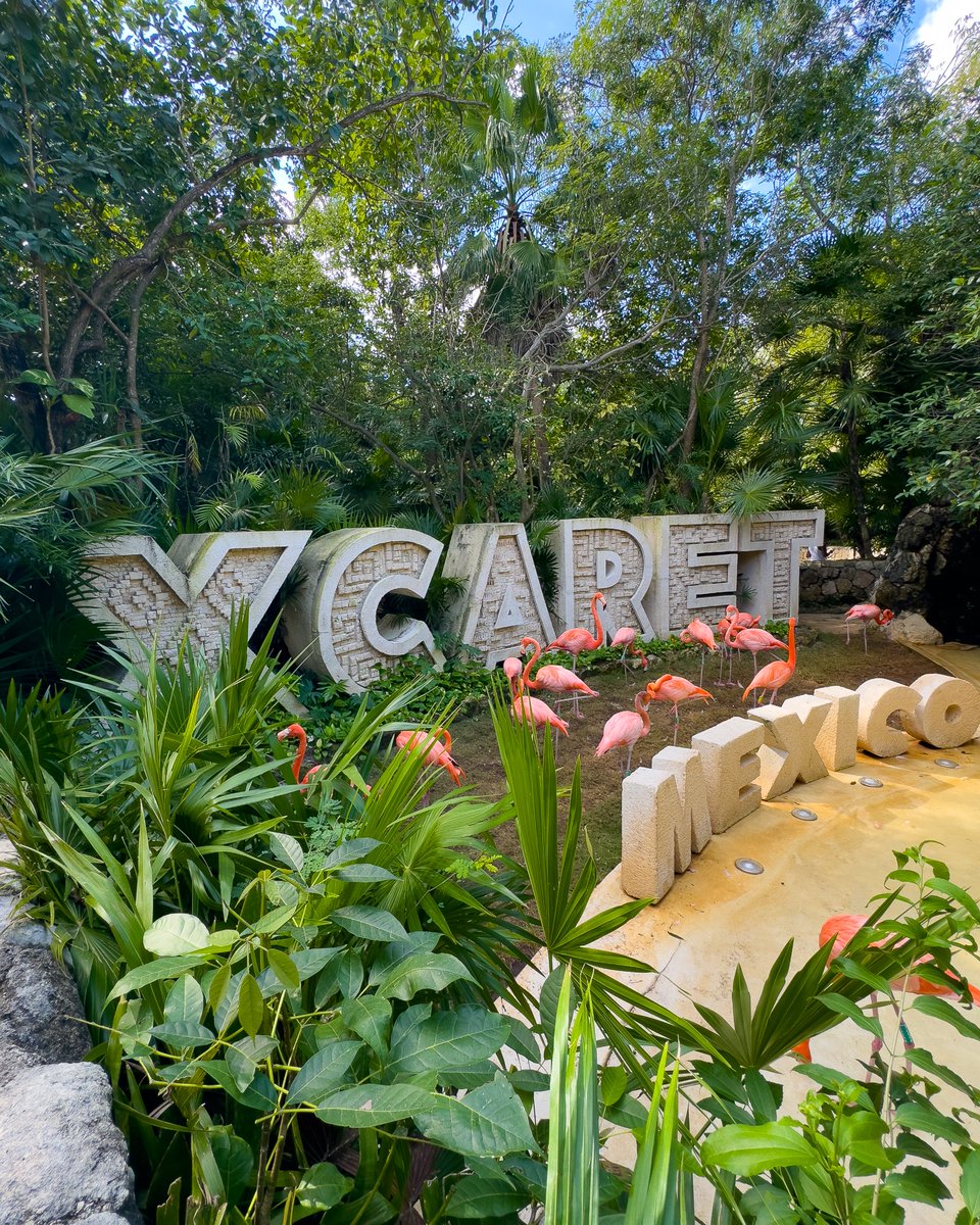 RT a las cosas que debes saber de #Xcaret: 📍 Playa del Carmen, México 🎟️ 4 tipos de boletos: Básico, Xcaret Plus, Xcaret Total & Xcaret de Noche ⏰ Horario de 8:30 a.m. - 10:30 p.m. 📅 Abierto todos los días del año 📲 social.xcaret.com/xc-entrada