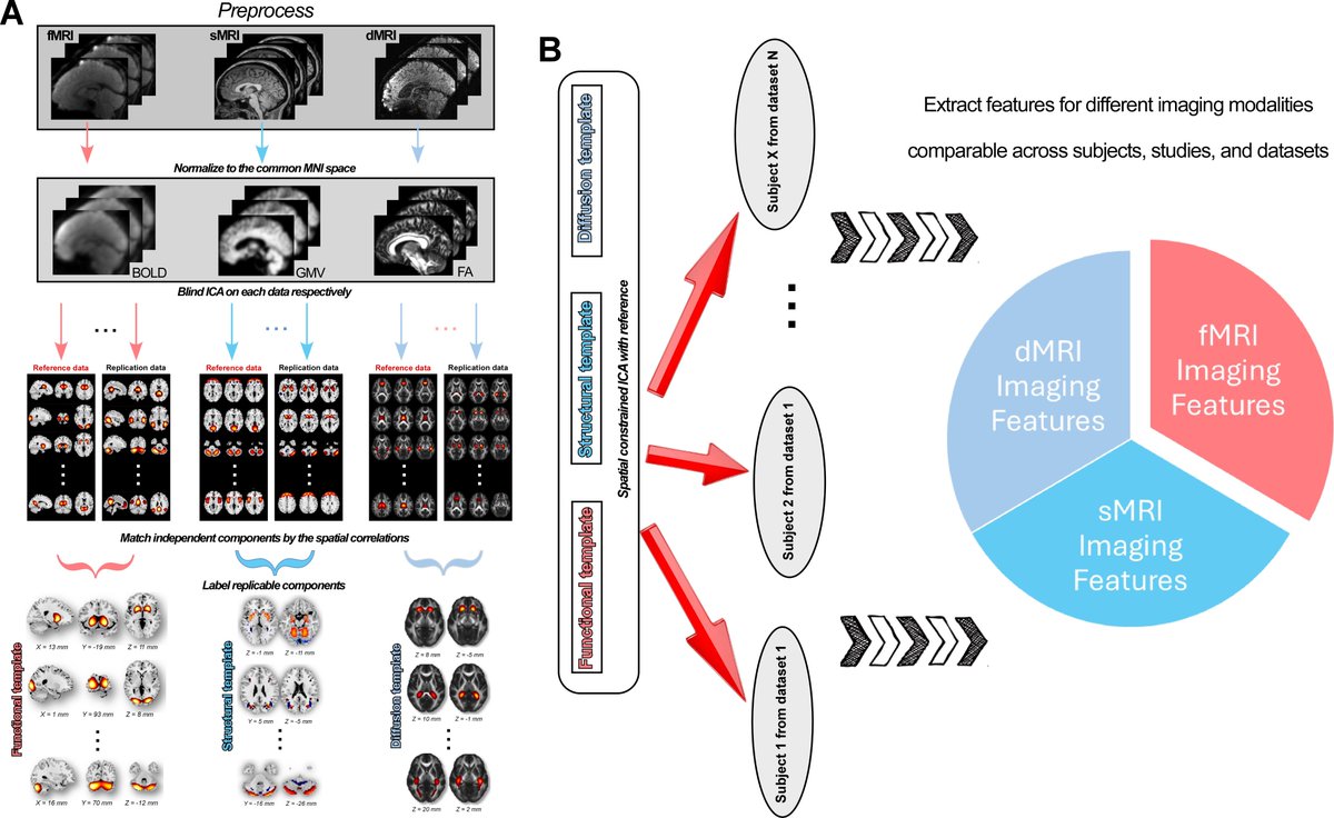 We introduce two significant expansions of our NeuroMark templates (NeuroMark 3.0) first by generating replicable ICA of fMRI templates for infants, adolescents, and aging cohorts, and second by incorporating structural MRI and diffusion MRI modalities (sciencedirect.com/science/articl…).